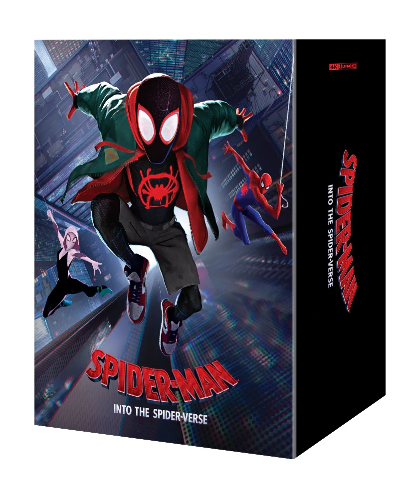 Spiderman_into_OC-front_v2_5000x.jpg