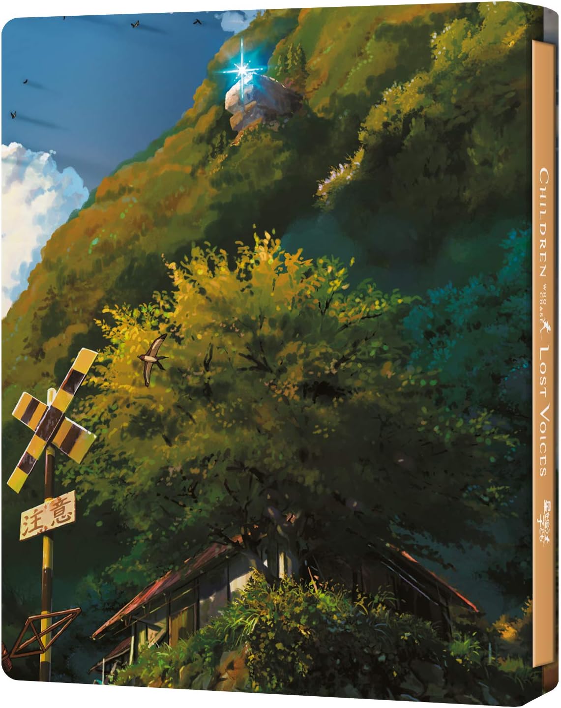 03.jpg