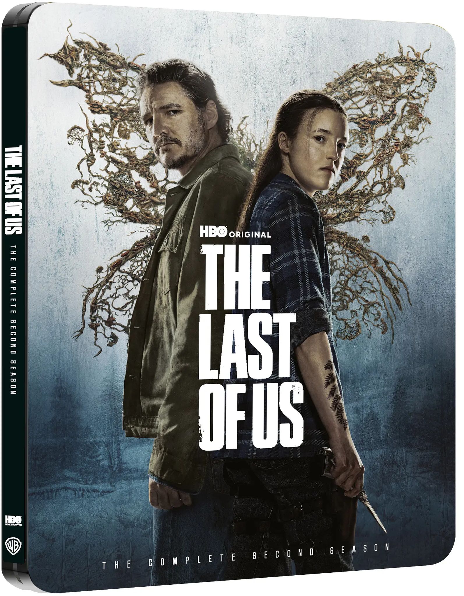 LAST_OF_US_2_SB_4K_Packshot_3D.jpg