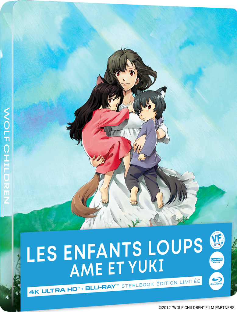 BRANI9638_WolfChildren_steelbook-3D_x1024.png