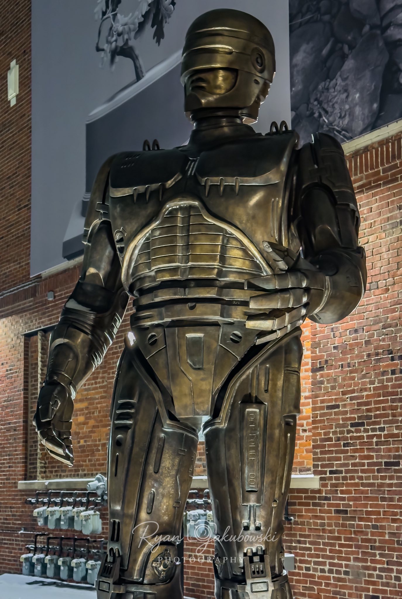 robo_03.jpg