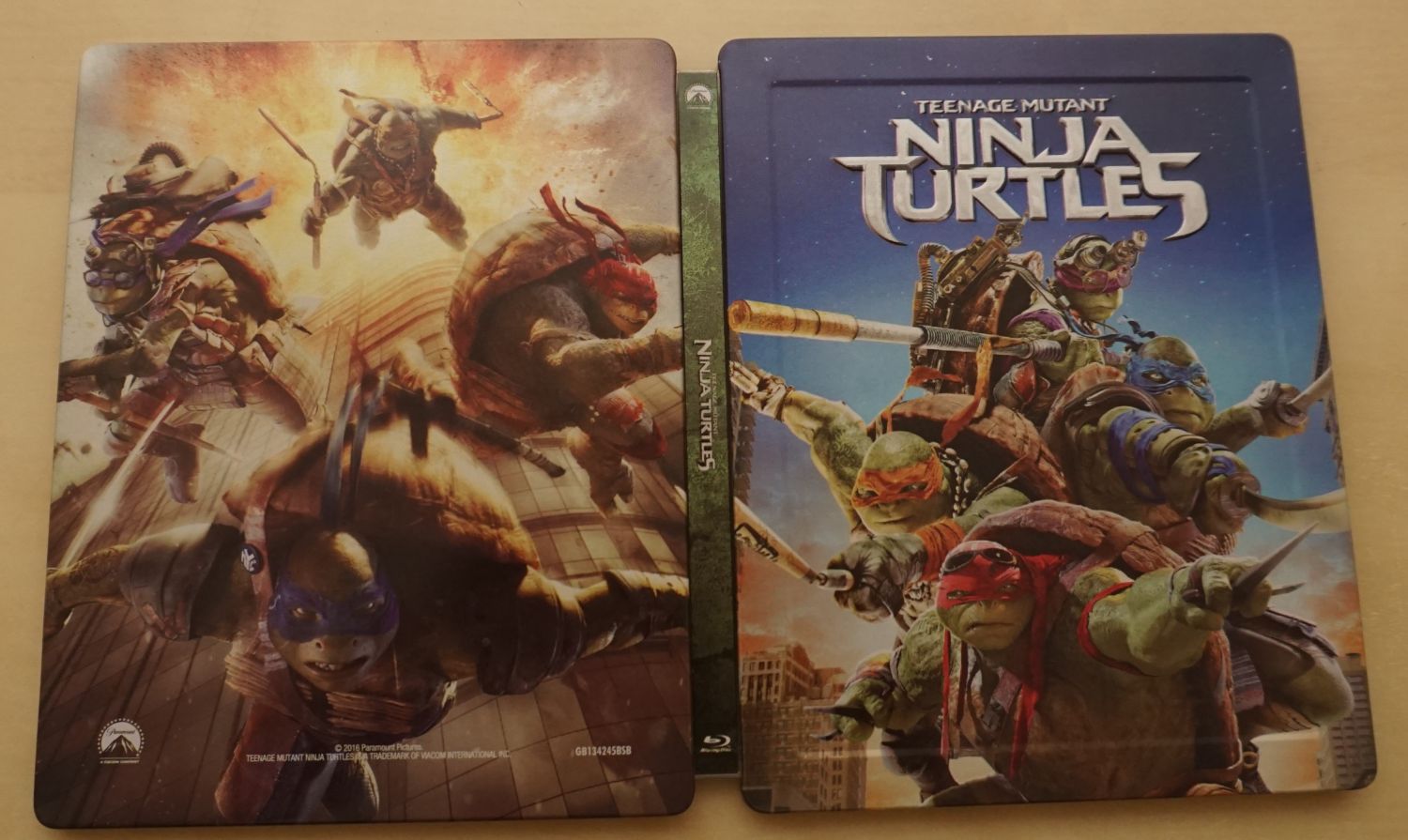 turtles 2.jpg