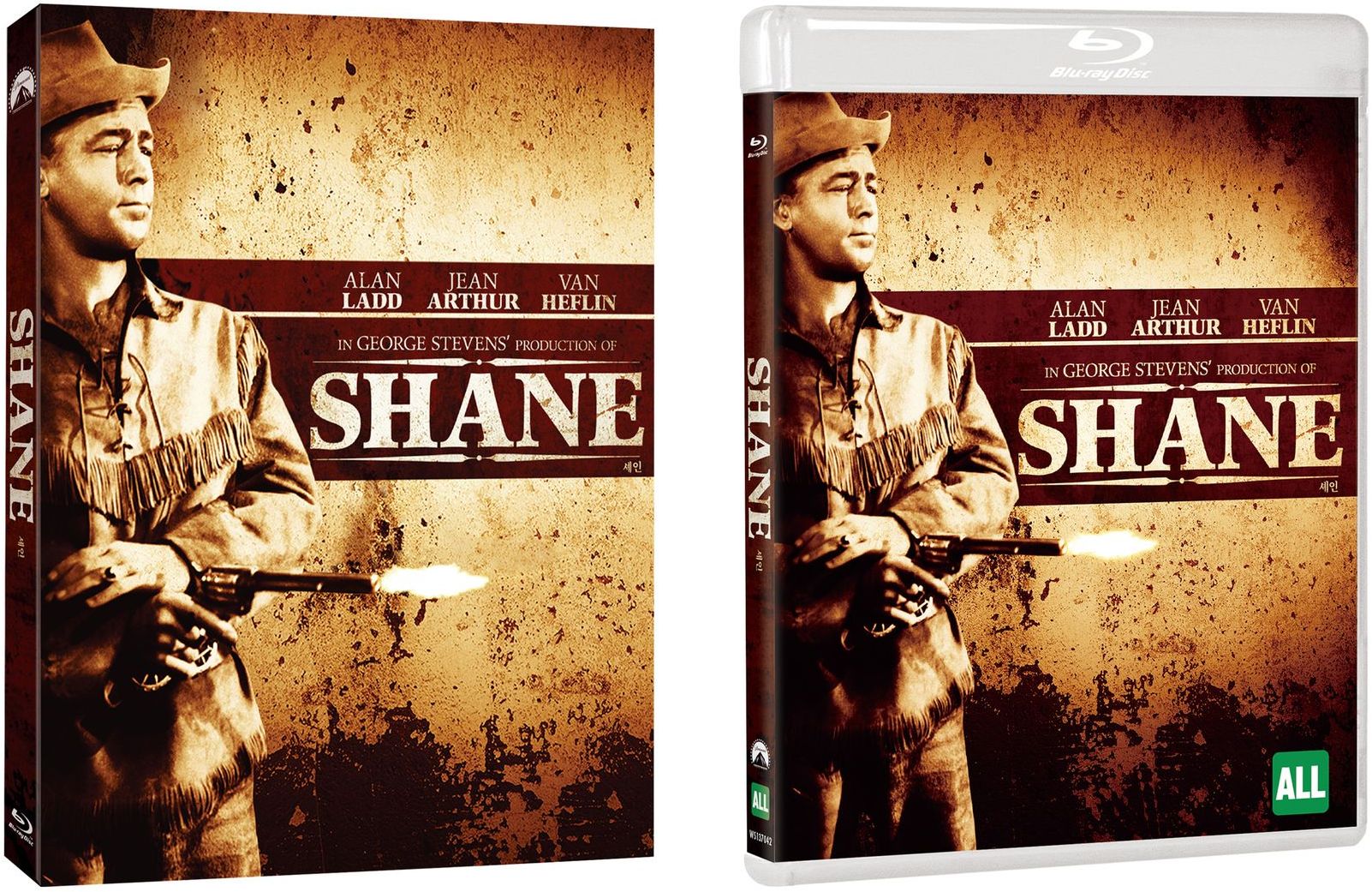 shane2.jpg