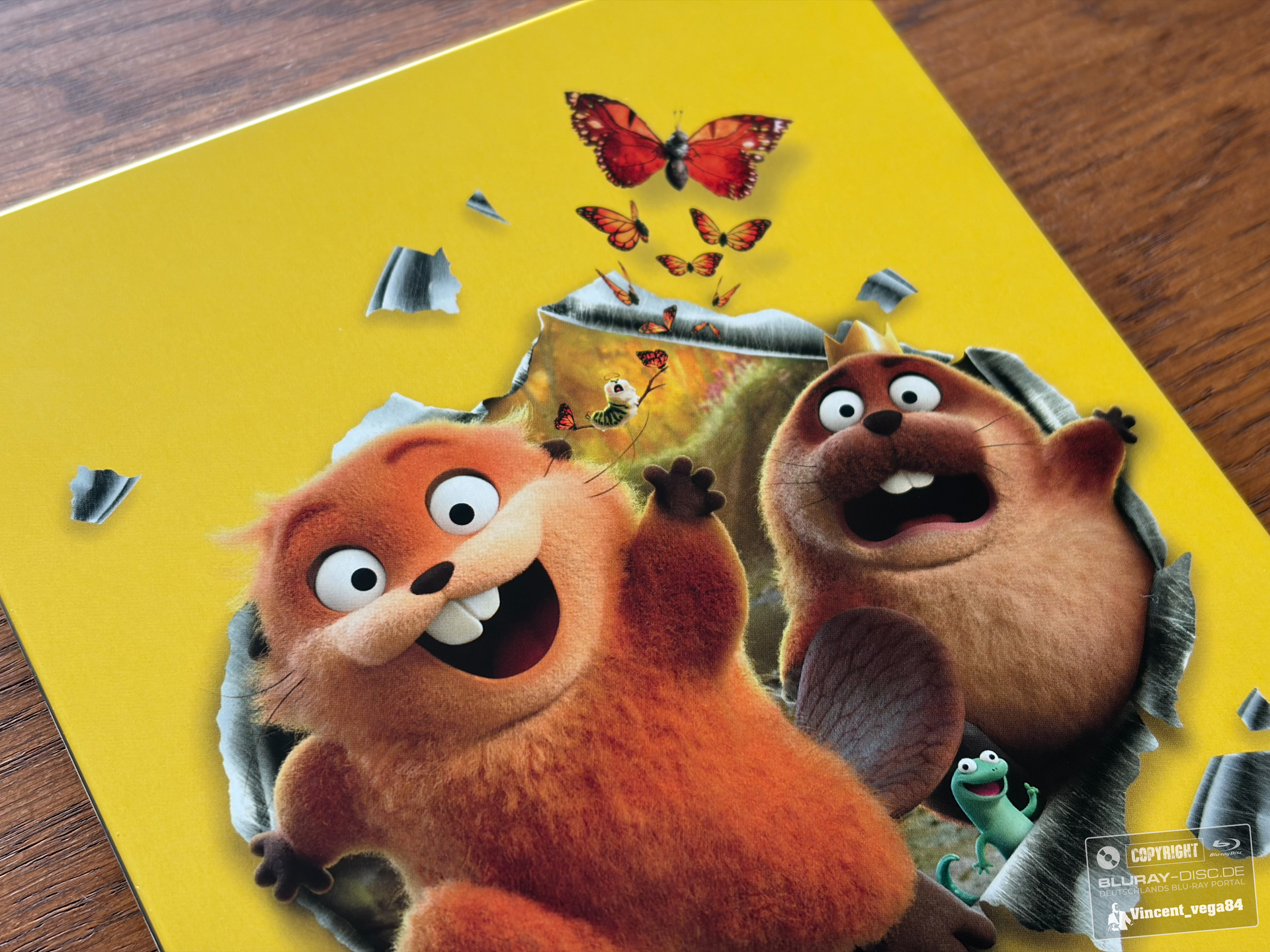 IMG_7942.jpg