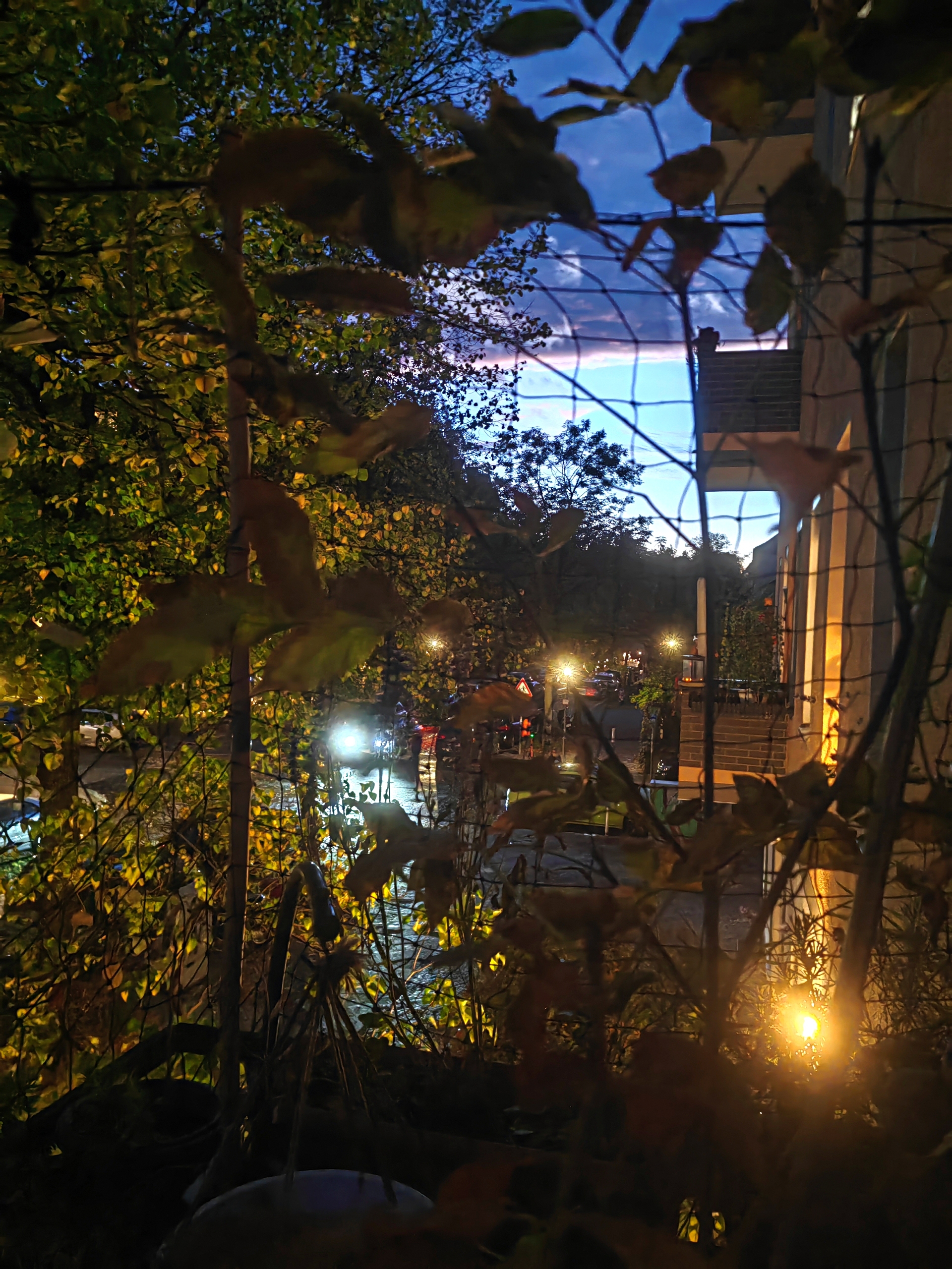 Wetter08.10.26ok.jpg