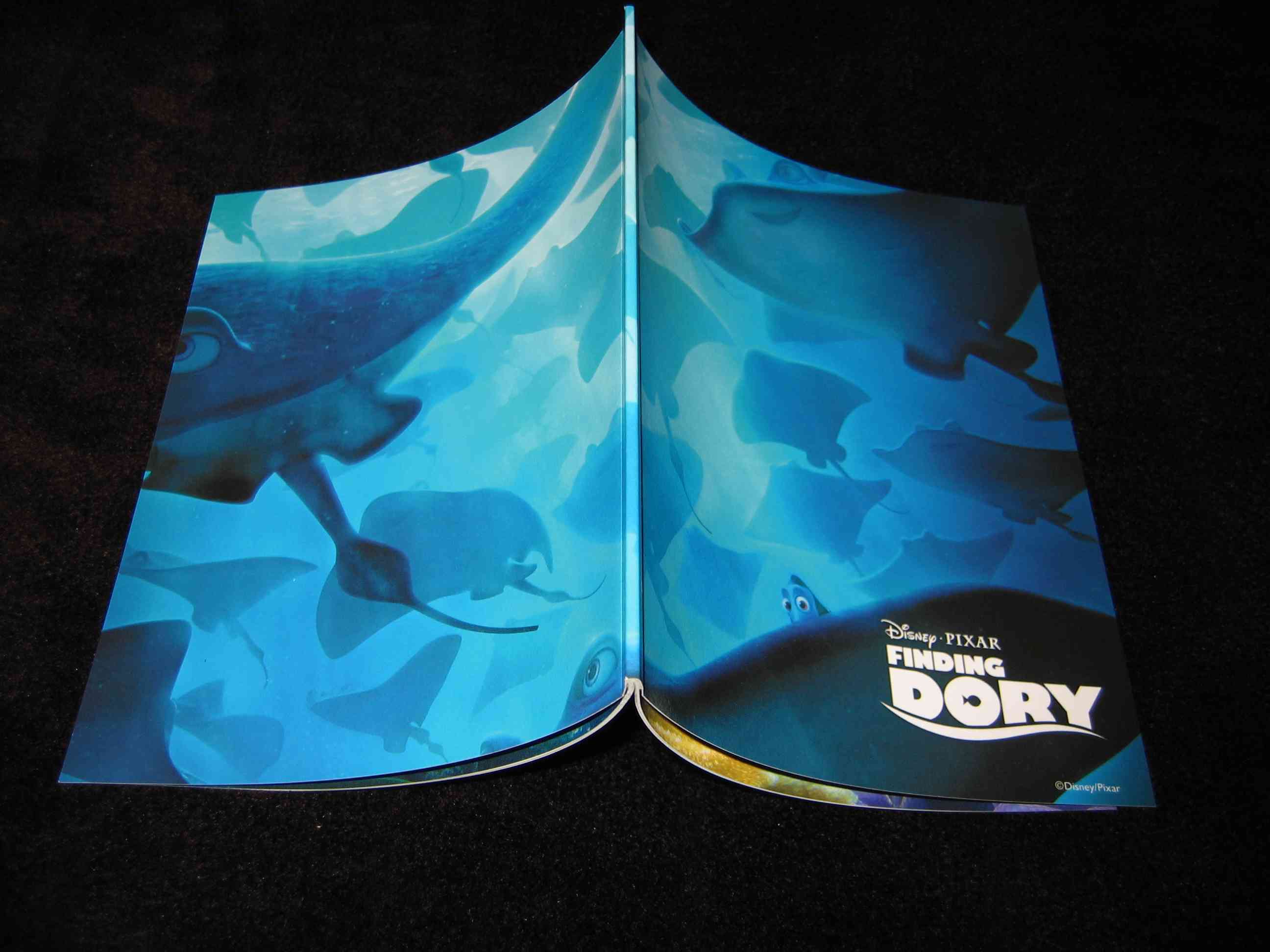 Finding_Dory (KR)_i.jpg