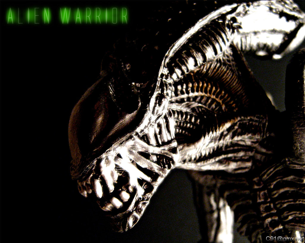 Alien_Warrior_Wallpaper_by_C91.jpg