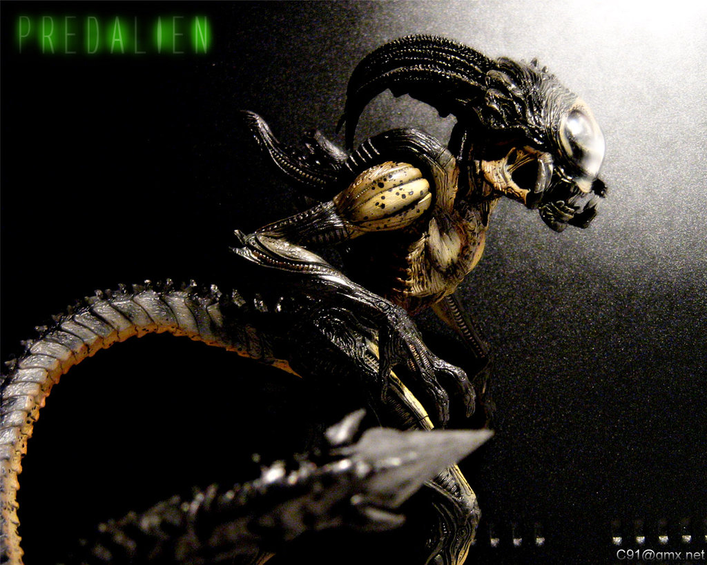 Predalien_Wallpaper_by_C91.jpg