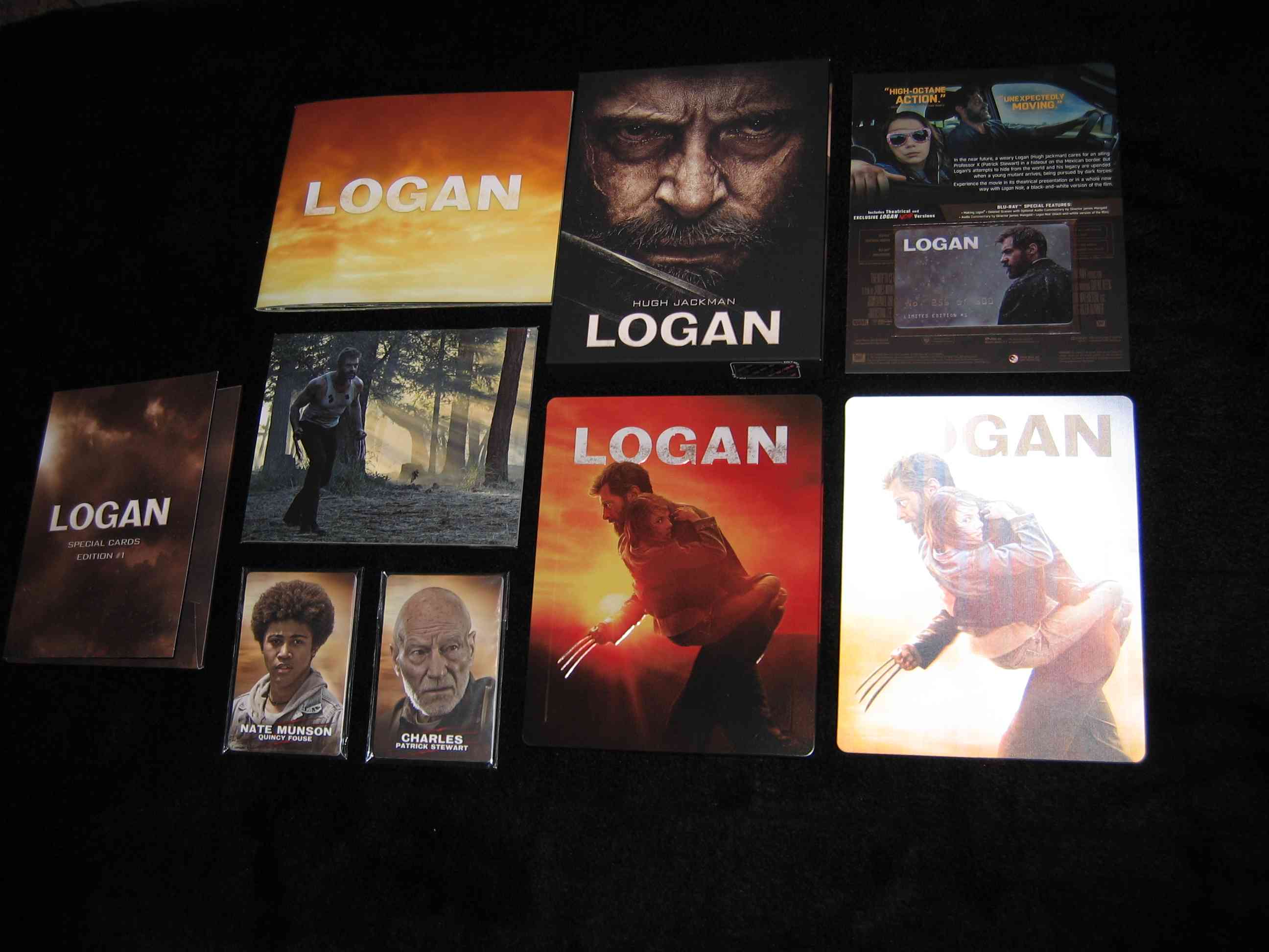 Logan_E1 (CZ)_a.JPG