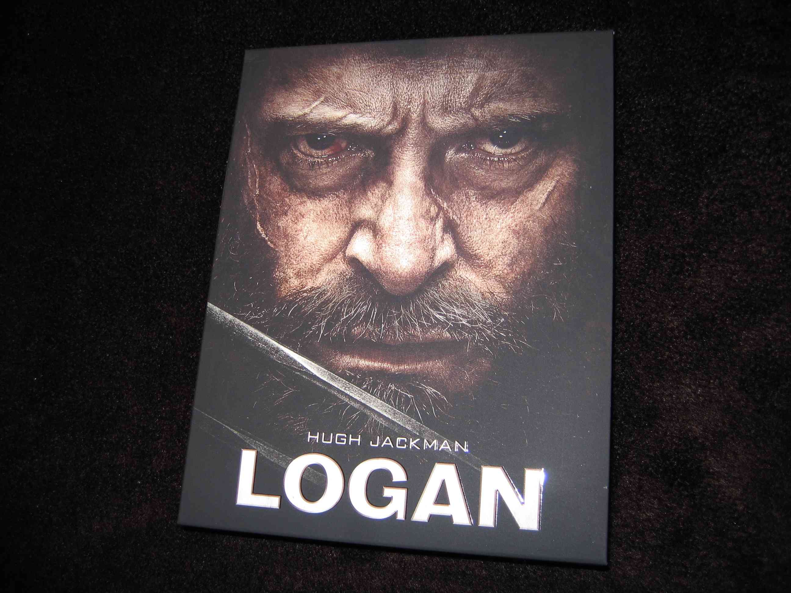 Logan_E1 (CZ)_b.JPG