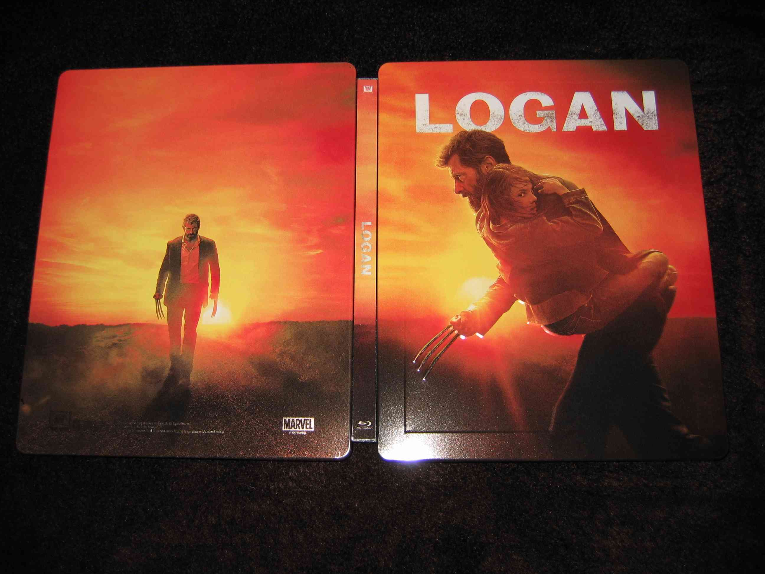 Logan_E3 (CZ)_h.JPG