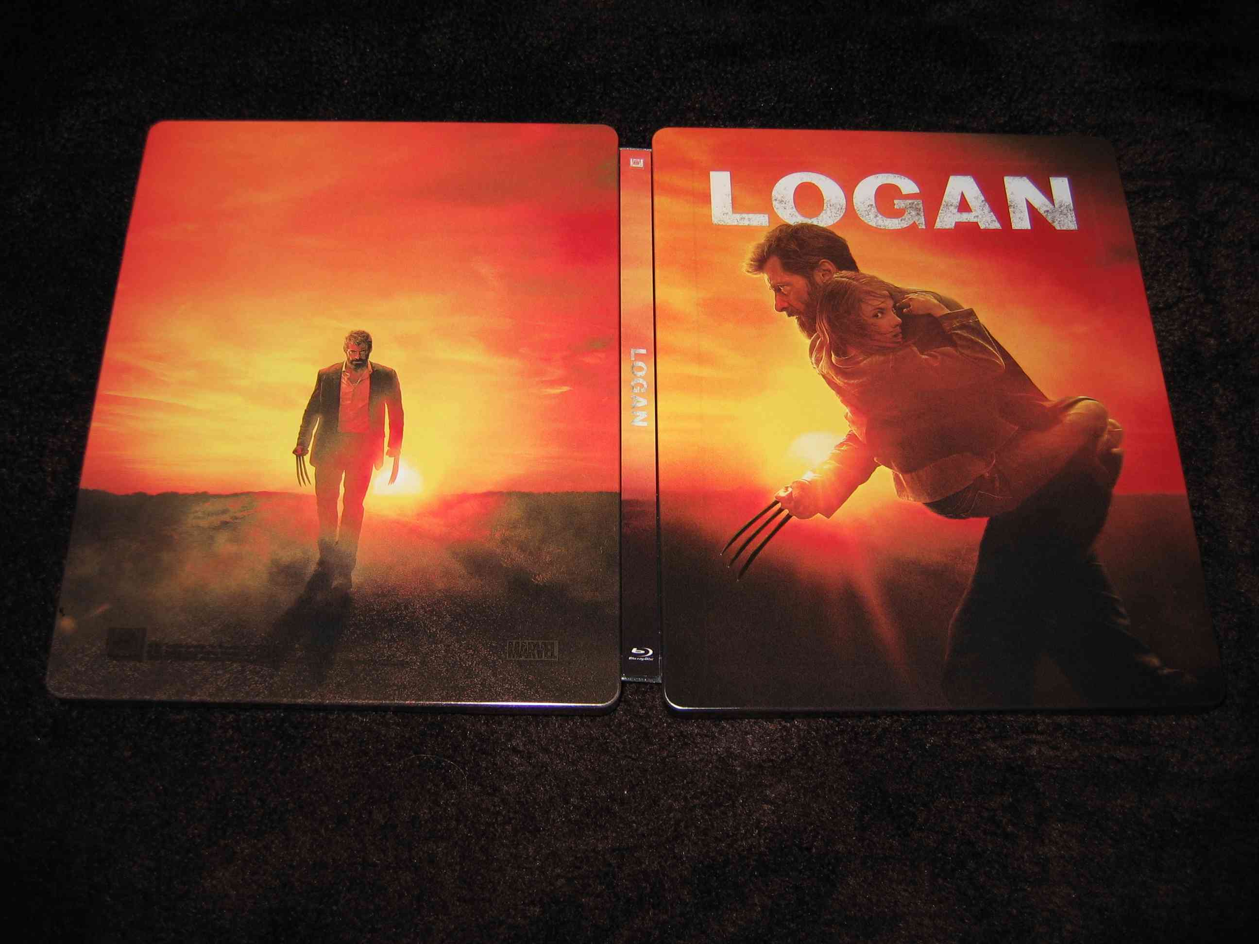 Logan_E3 (CZ)_i.JPG