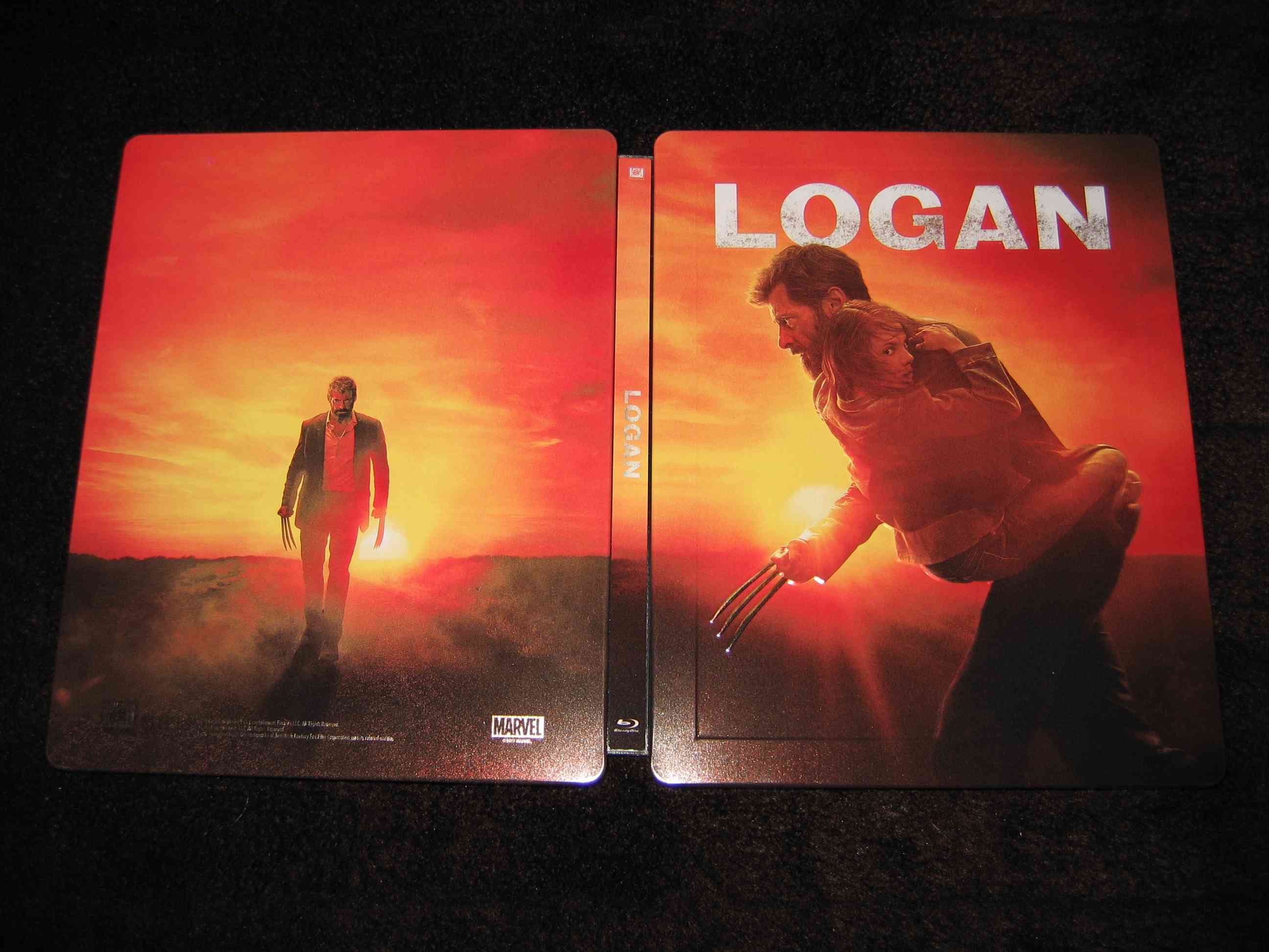Logan_E1 (CZ)_i.JPG