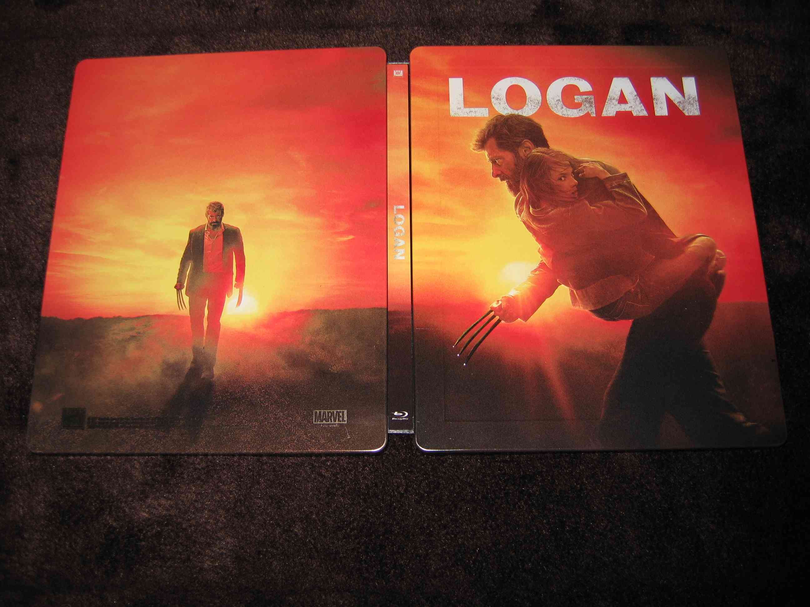 Logan_E2 (CZ)_f.JPG