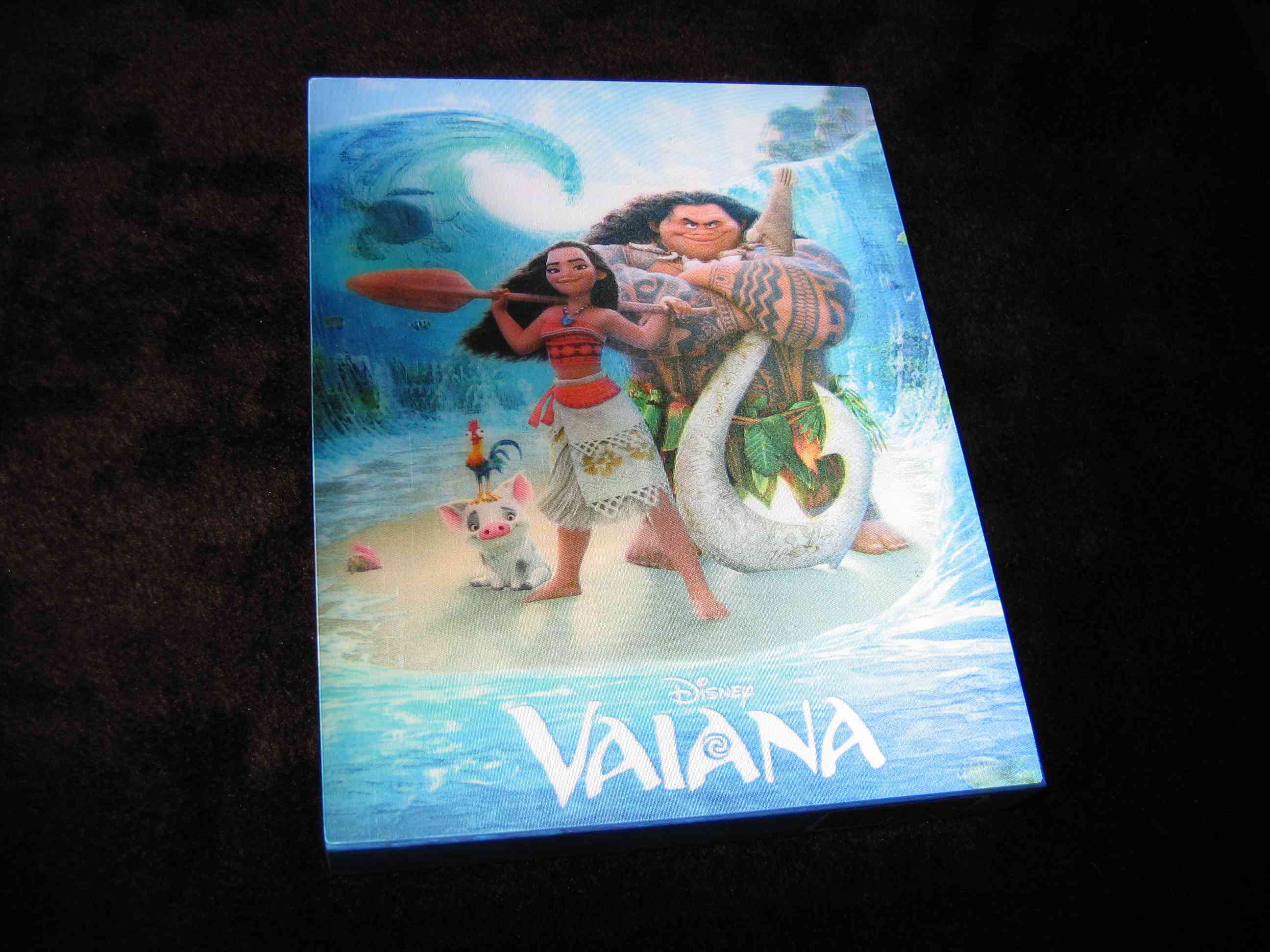 Vaiana_E2 (CZ)_b.JPG