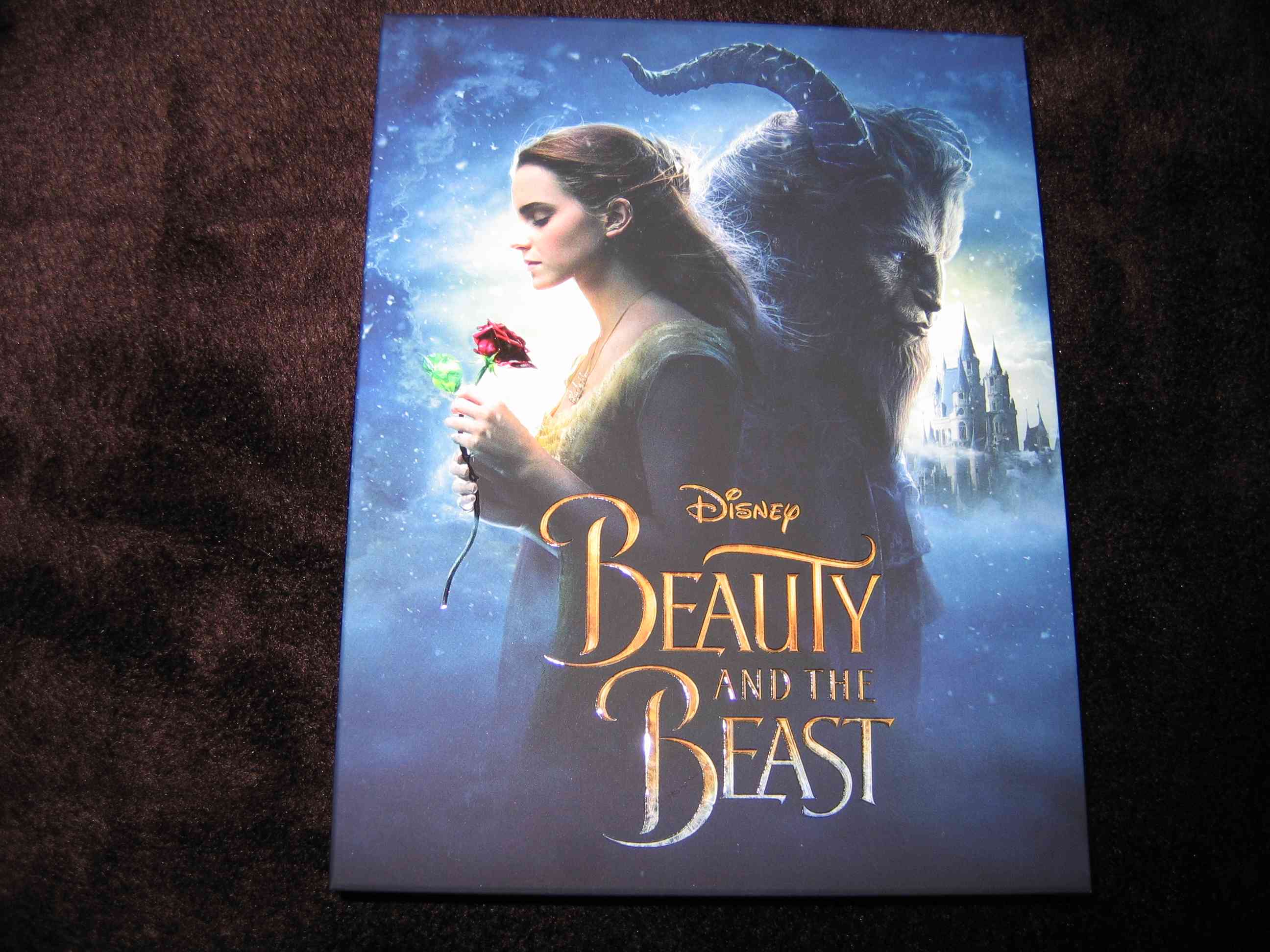 Beauty_and_the_Beast (CZ)_b.JPG