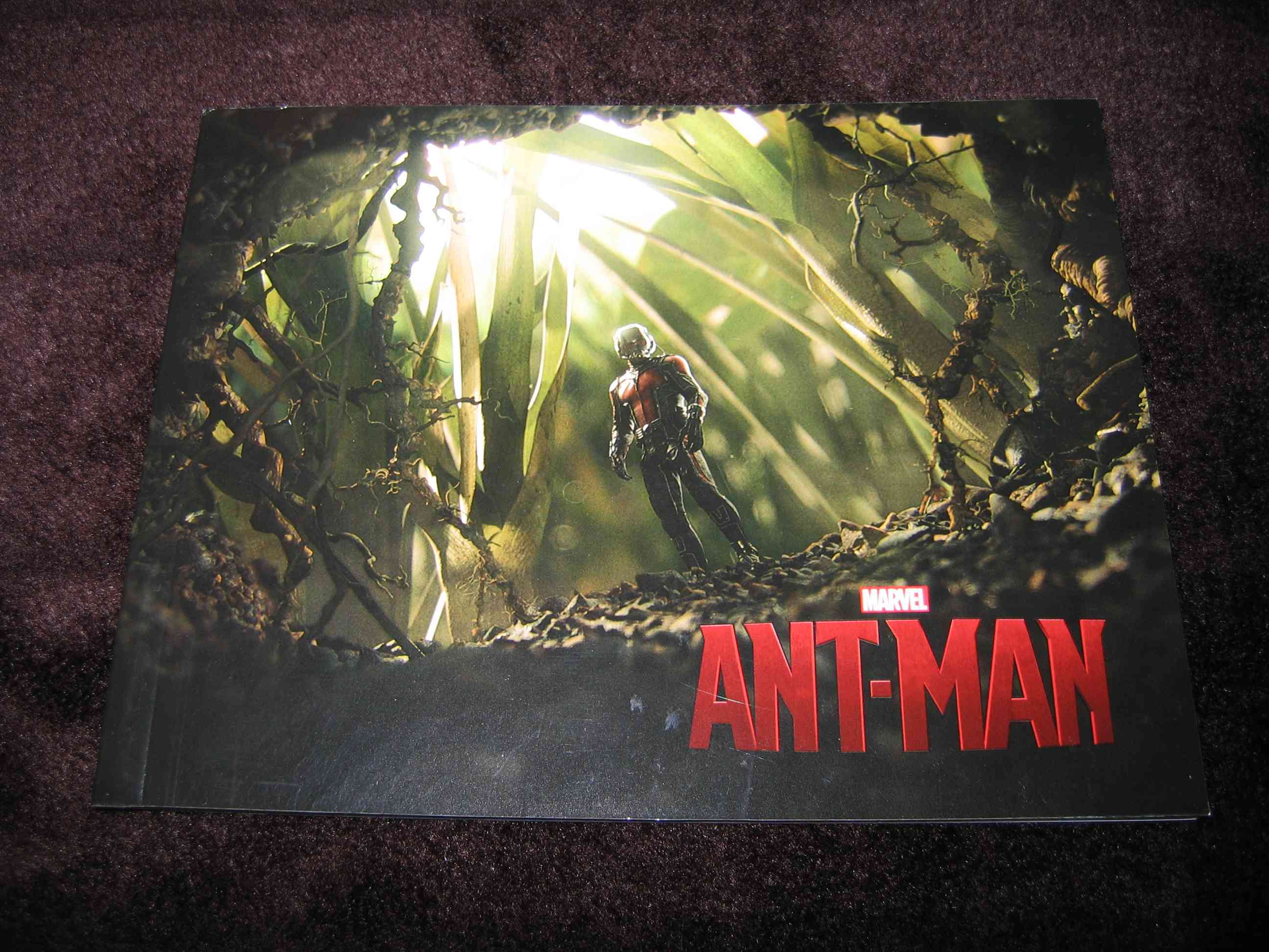 Ant-Man (CN)_h.JPG