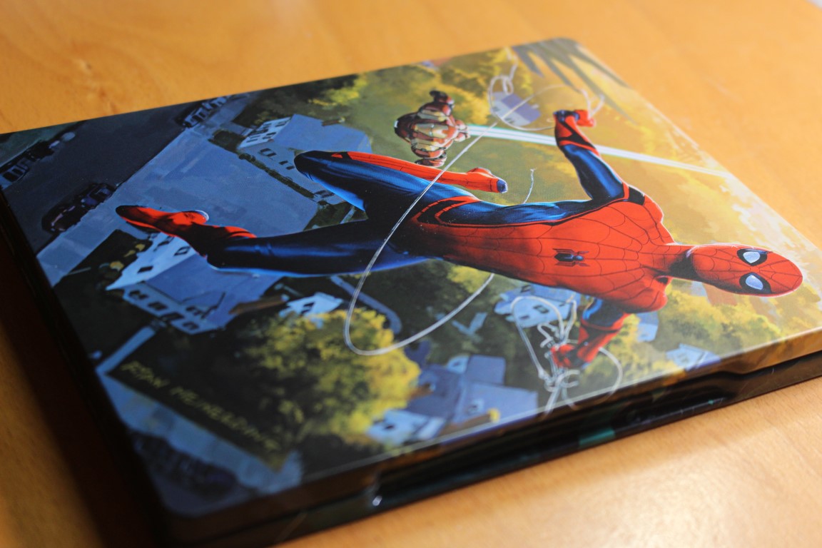 spidy_steel_8 (Medium).JPG