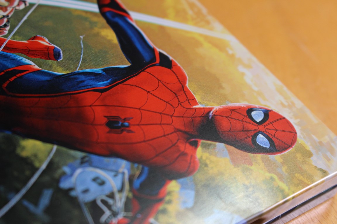 spidy_steel_10 (Medium).JPG
