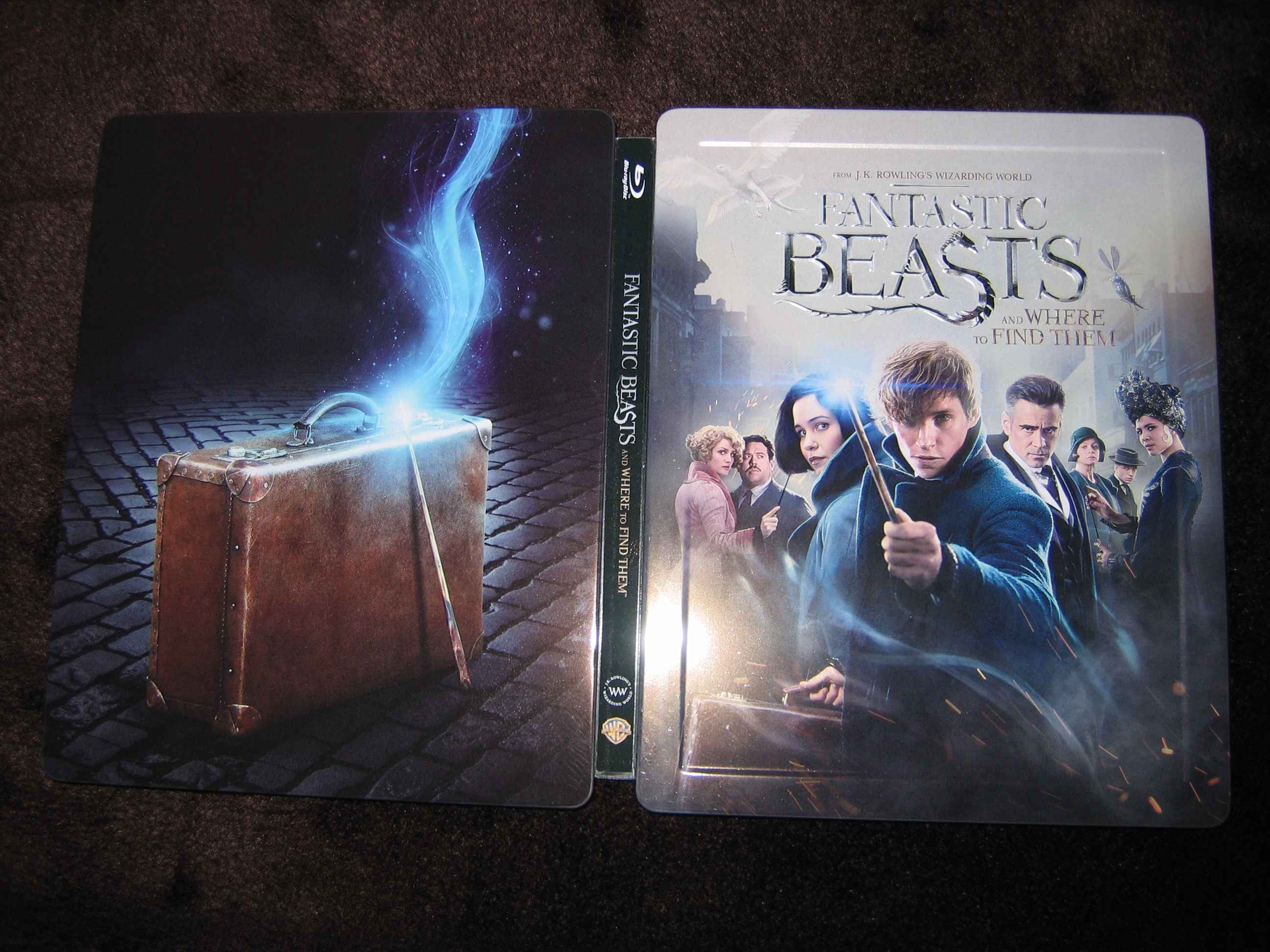 Fantastic_Beasts_and_Where_to_Find_them (CN)_f.JPG