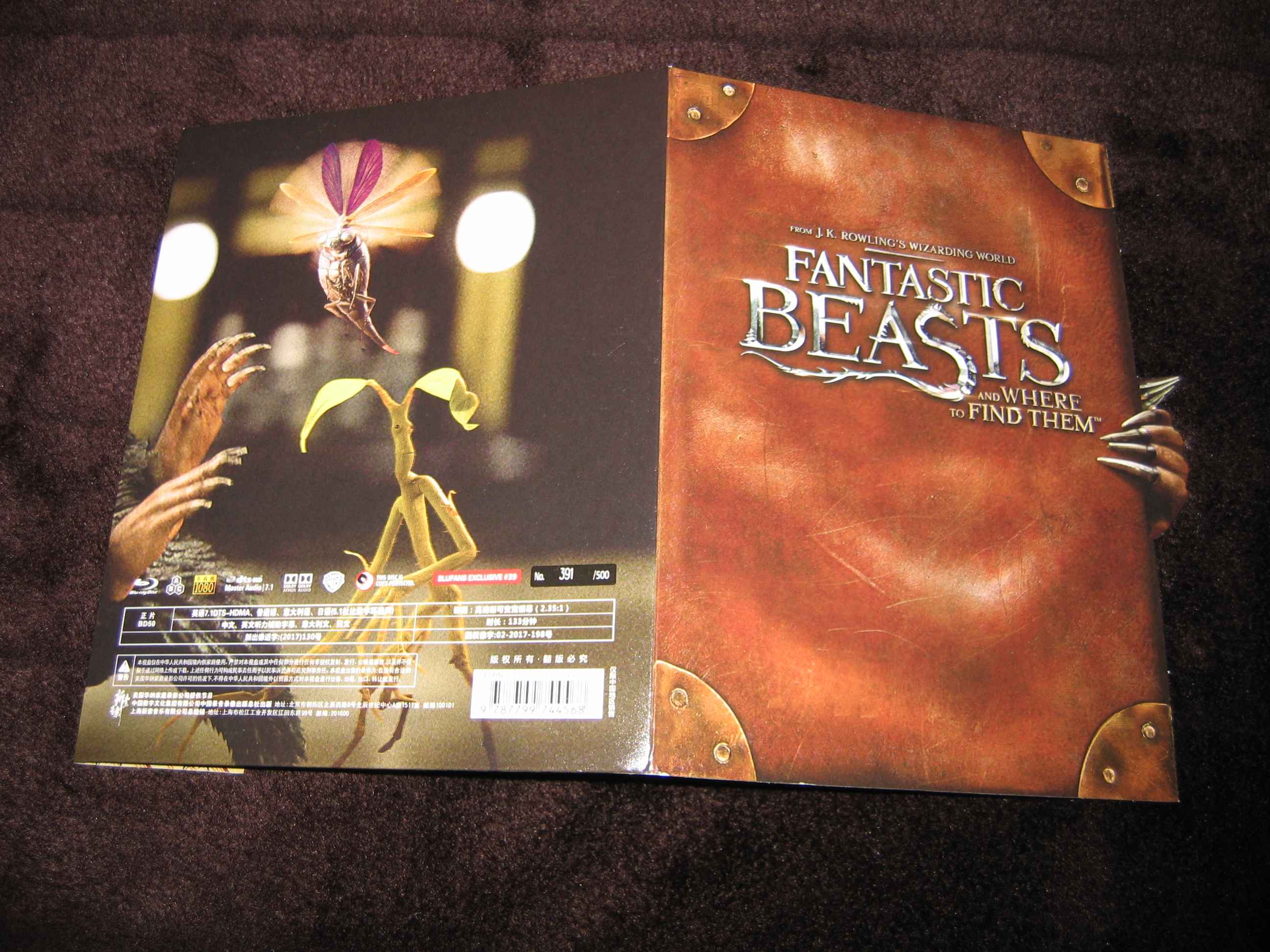 Fantastic_Beasts_and_Where_to_Find_them (CN)_h.JPG