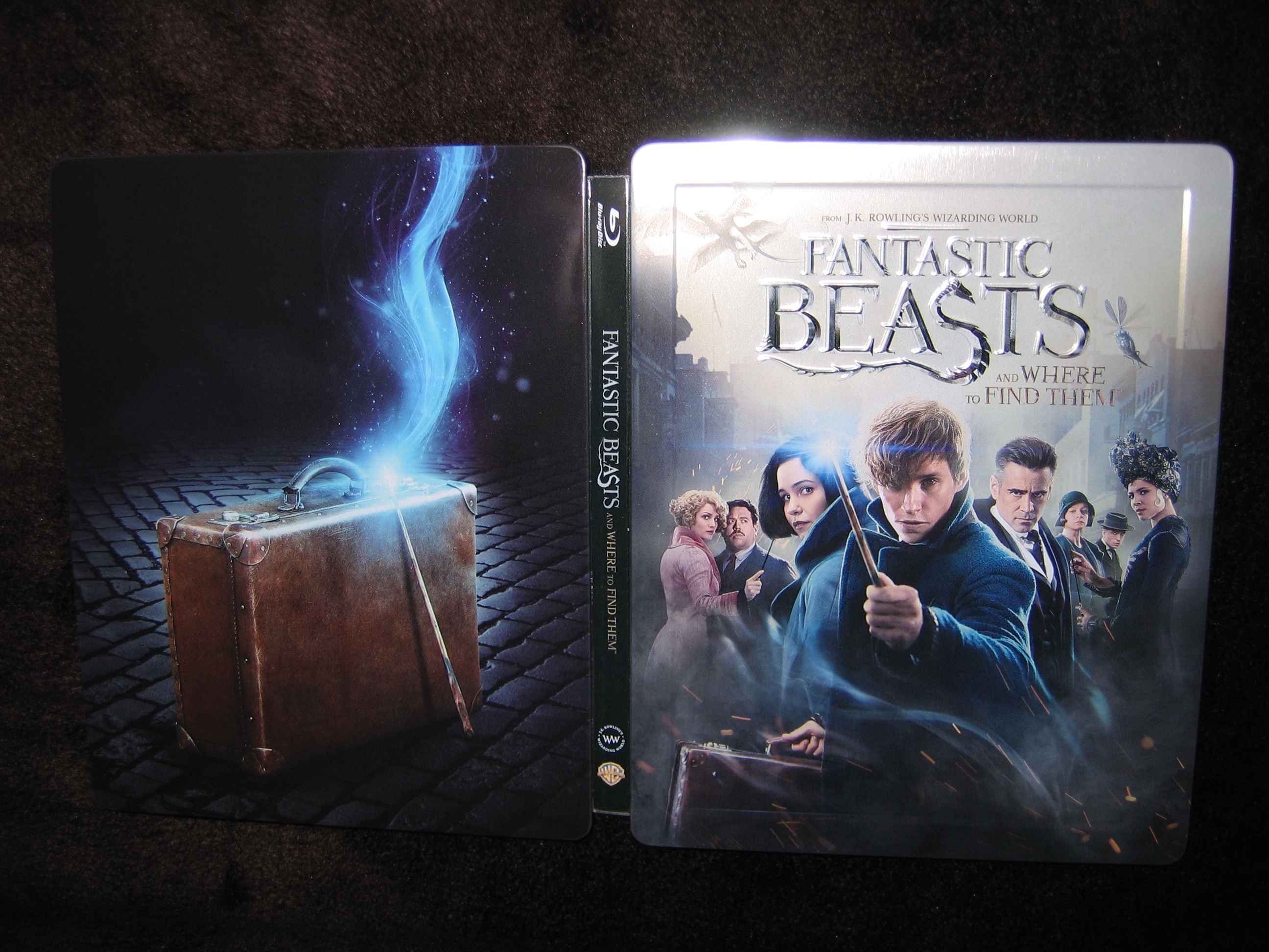 Fantastic_Beasts_and_Where_to_Find_them (CN)_g.JPG