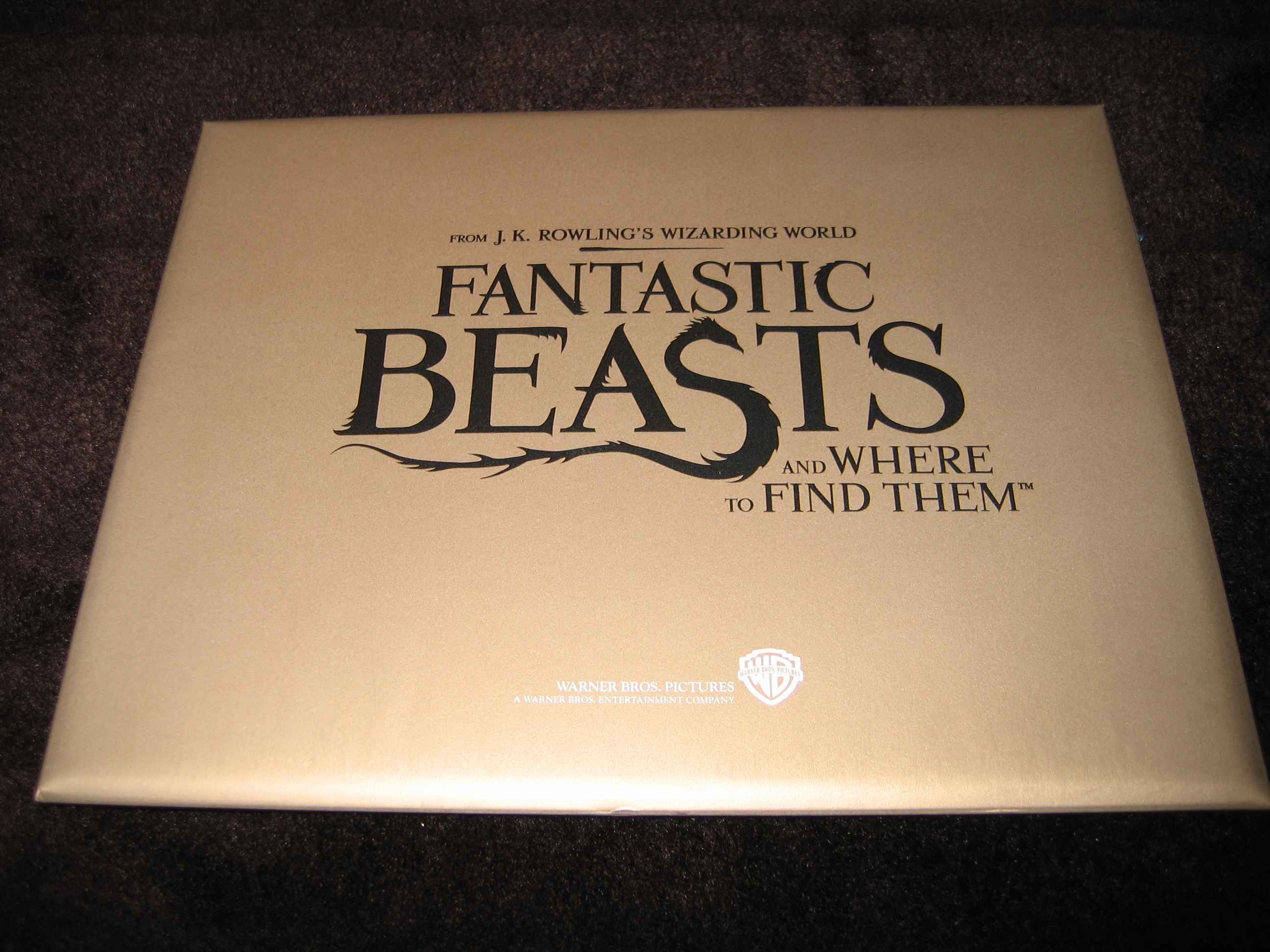 Fantastic_Beasts_and_Where_to_Find_them (CN)_l.JPG
