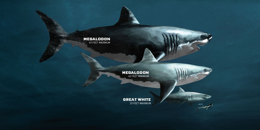 MegalodonImage-1024x512.jpg