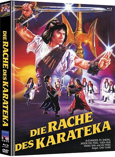 Mediabook-br_die_rache_des_karateka_mediabook_cover_a_3d002.jpg