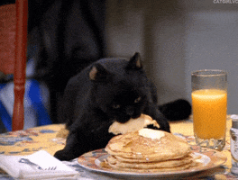 bnhgv.gif