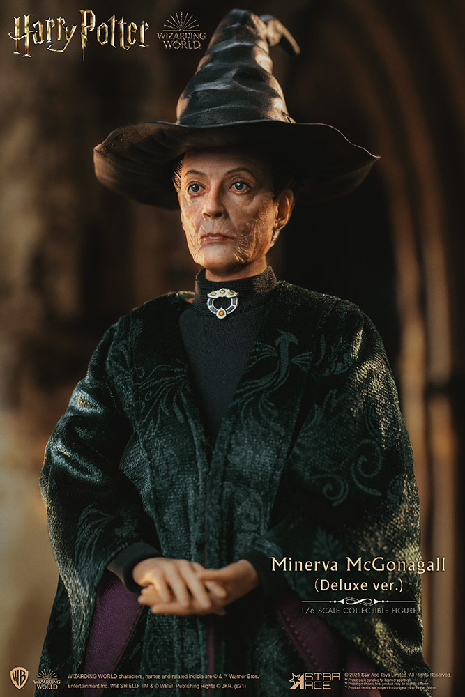 minerva-mcgonagall_harry-potter_gallery_6014649dac2a6.jpg