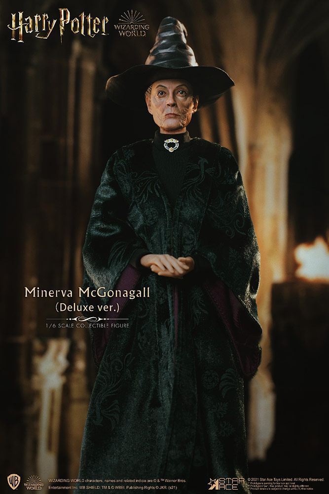 minerva-mcgonagall_harry-potter_gallery_6014649d5e823.jpg