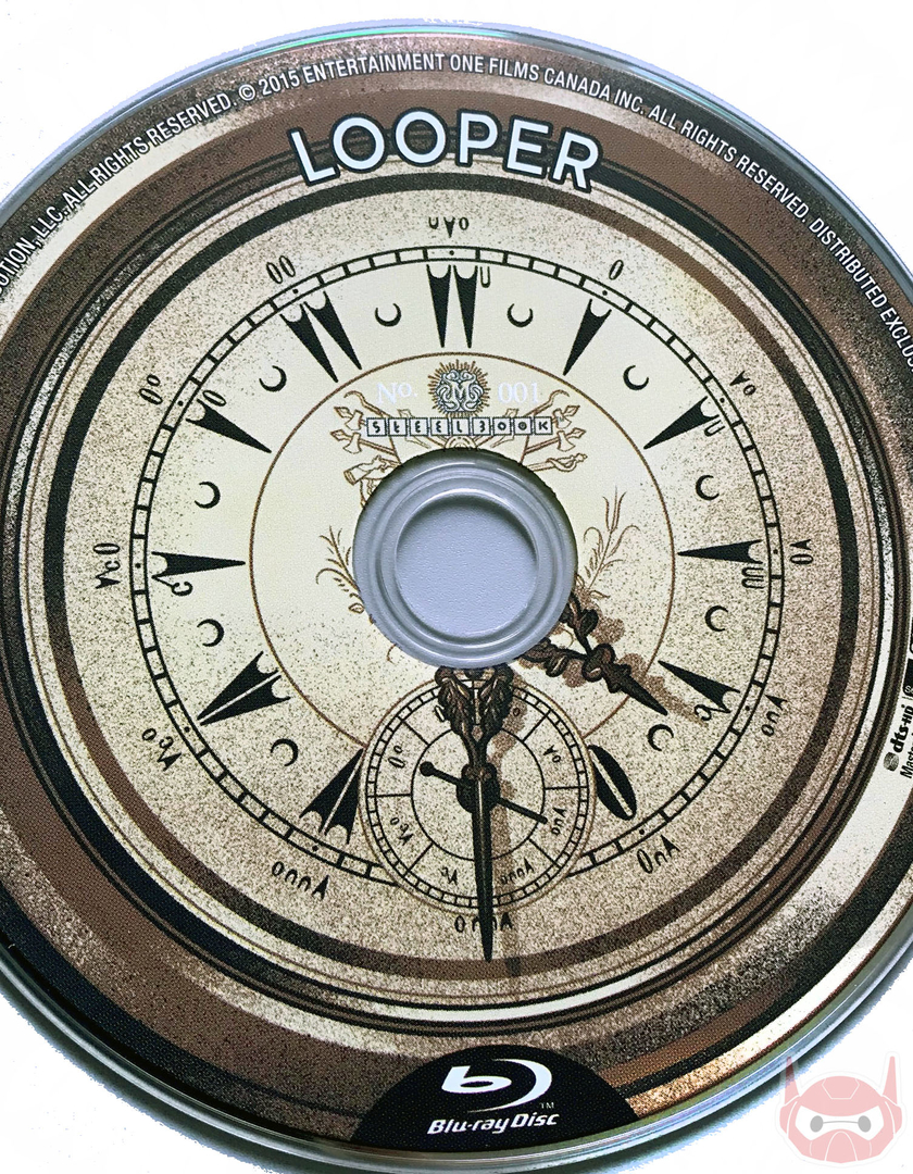 Looper12_-_Kopie.jpg
