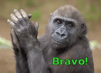 9fde0182d391c02f7de1c213fa82ce38.gif.620a30561b45c93b402fade5ba08ad5a.gif