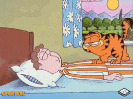 imageproxy_5_äöl.gif