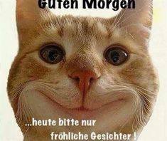 Bild_2021-03-09_083046.png