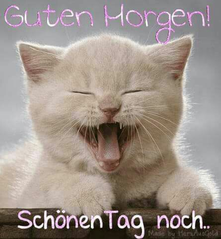 Bild_2021-03-11_093928.png