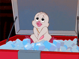 imageproxy_5_üpoi.gif