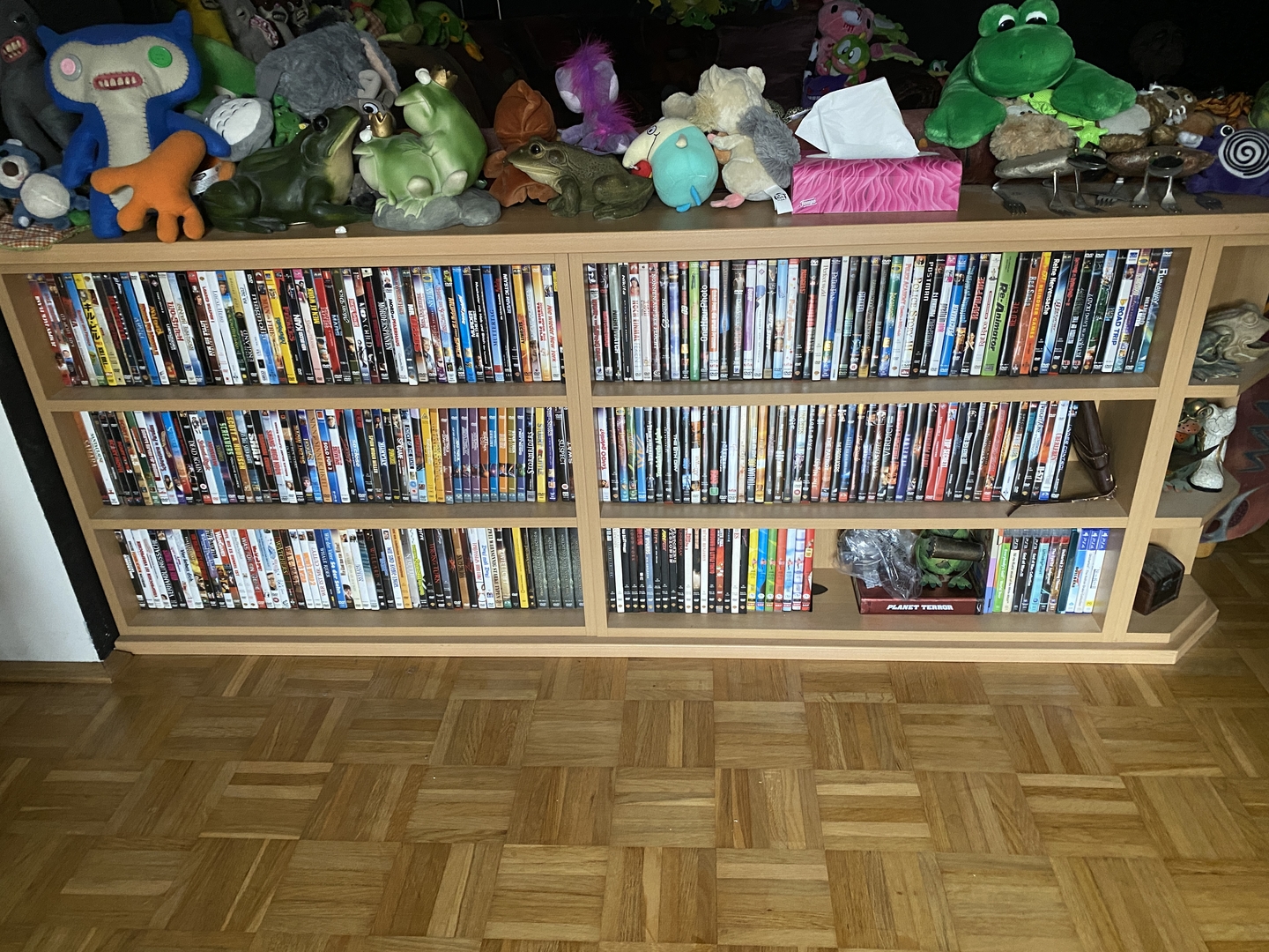 DVD-Regal-01.jpg