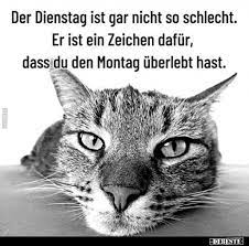 Bild_2021-04-27_090142.png