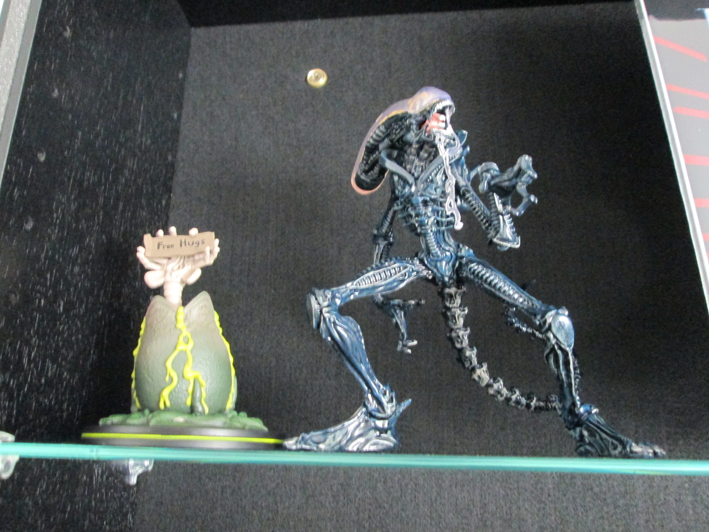003_5.JPG