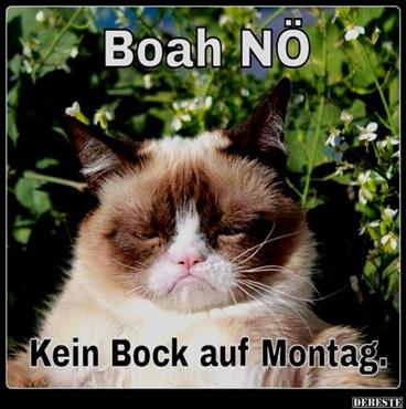 Bild_2021-06-21_100759.png