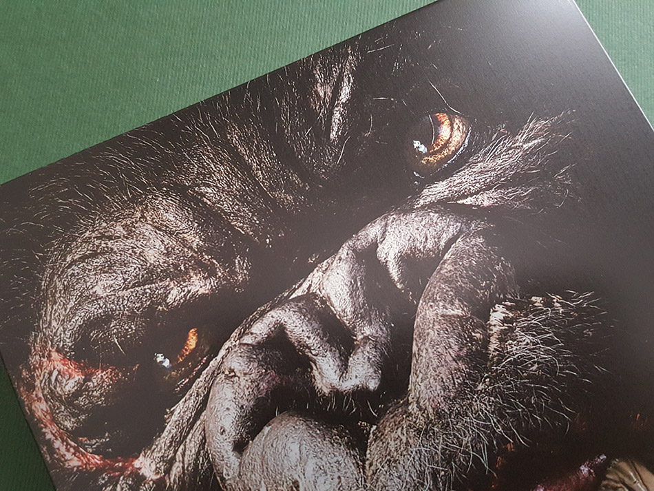 fotografias-del-steelbook-de-king-kong-en-uhd-4k-original_12.jpg