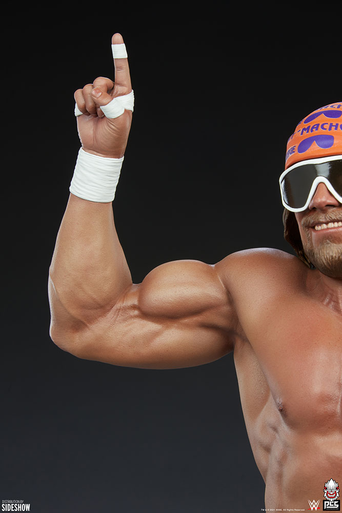 macho-man-randy-savage_wwe_gallery_6101ce7c6c3d5.jpg