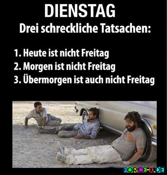 Bild_2021-08-17_084931.png