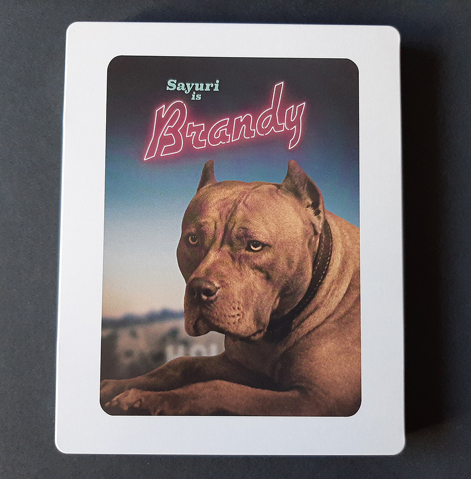 fotografias-del-steelbook-de-erase-una-vez-en-hollywood-en-blu-ray-original_3.jpg