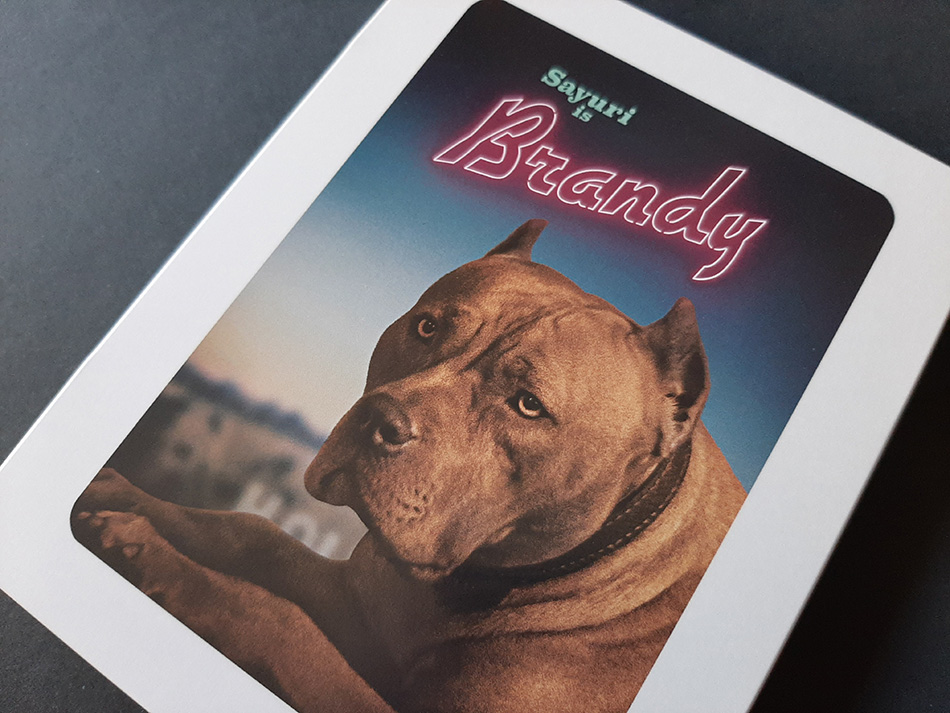 fotografias-del-steelbook-de-erase-una-vez-en-hollywood-en-blu-ray-original_4.jpg