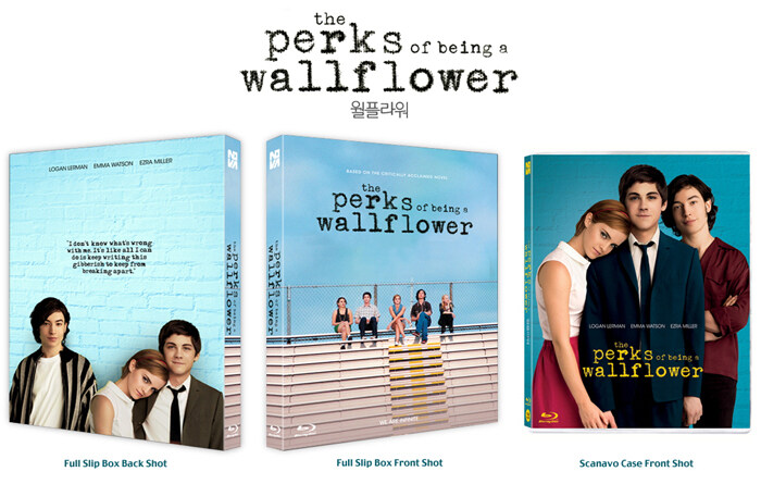 The_Perks_of_being_a_Wallflower.jpg