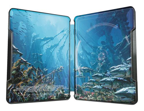 Aquaman-Steelbook-Edition-Speciale-Fnac-Blu-ray-4K-Ultra-HD-2.jpg