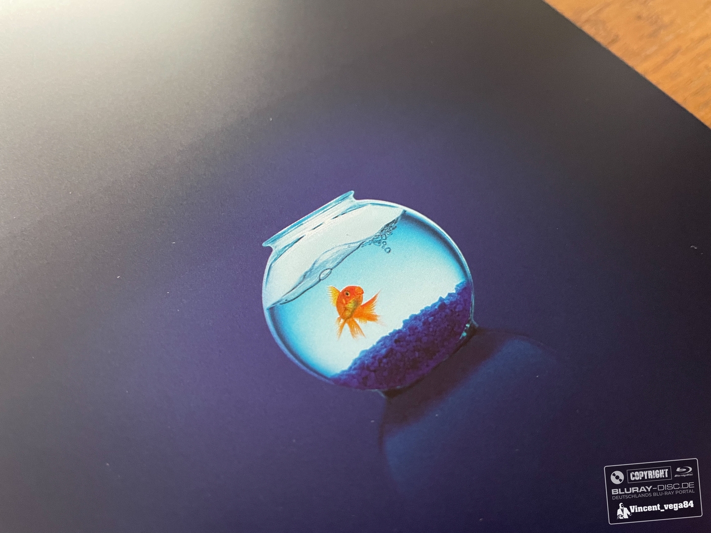 ADE2F9AF-B434-4F96-B313-19F8596B6CA1.jpeg